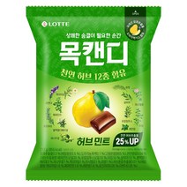 롯데제과 목캔디 허브민트 봉지형, 217g, 1개