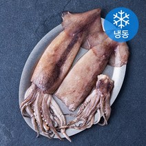 곰곰 손질 통오징어, 320g(2미), 1팩