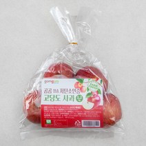 곰곰 청송 저탄소인증 고당도 사과, 1.2kg, 1봉