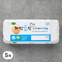 자연애찬 무항생제 1+등급 대란 10구, 5개