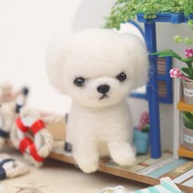 아트조이 DIY 양모펠트 세트, 패키니즈