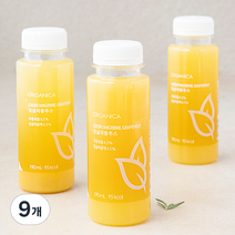 올가니카 과채주스 청귤자몽주스, 190ml, 9개