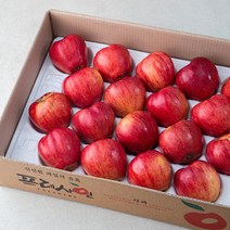 프레샤인 충주 GAP 인증 당도선별 사과, 5kg(16~20입), 1박스