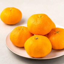 곰곰 당도선별 서귀포 레드향, 1.2kg, 1봉