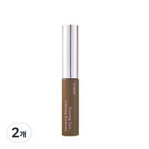 에뛰드 드로잉 아이즈 컬러링 브로우카라 6ml, 2호 초코브라운, 2개