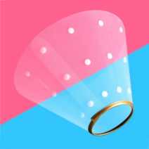 제제펫 심플 골드링 반려견 목보호대 2호, 1개