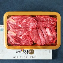 농협안심한우 1+등급 등심 500g + 부채살 150g + 업진살 150g + 채끝 200g 채반 선물세트 2호 (냉장), 1세트