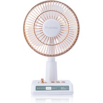블루아이디 레트로 무선 탁상용 선풍기, 화이트앤골드, BI-DF1