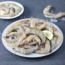 어부심 산지직송 산채로 포장한 신안군수 품질보증 생물새우, 2kg(50~70미), 1개