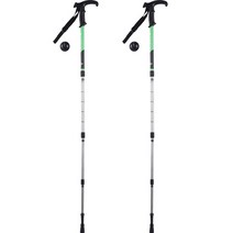 오가니코 두랄루민 4단 접이식 T자형 초경량 등산스틱 2P, 그린