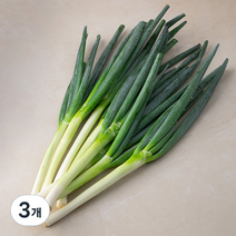 깐대파 국내산, 1kg, 3개