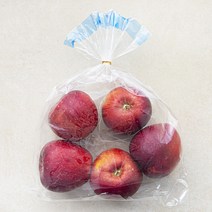 곰곰 못생겨도 맛있는 저탄소 엔부사과, 1.2kg, 1봉