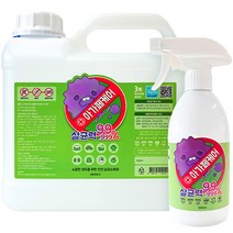 아가페케어 뿌리는 살균소독제 4000ml + 500ml 세트, 1세트