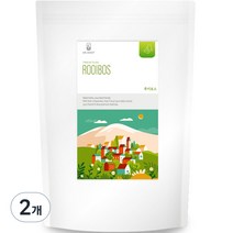 닥터루트 루이보스차 삼각티백, 1.2g, 100개, 2개