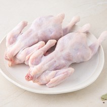 곰곰 두마리 통닭 백숙용 (냉장), 550g, 2개입