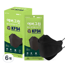 에버그린 황사 방역 마스크 대형 KF94, 25개입, 6개, 블랙