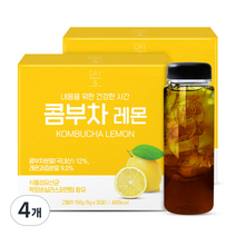 참앤들황토농원 데이앤 콤부차 레몬 150g x 2p + 전용보틀 세트, 2세트, 4개