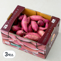 맛젤 꿀밤고구마, 3kg(중), 3박스