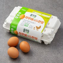 풀무원 무항생제 1등급 계란 15구, 1개