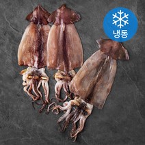 해선생 구룡포 반건조 오징어 3미 (냉동), 330g, 1개