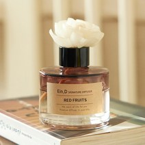 에인디 시그니처 차량용&실내용 대용량 디퓨저 디퓨저+플라워스틱 110ml, 레드프룻