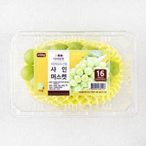 아리당찬 비파괴 당도선별 샤인머스켓, 450g, 1팩