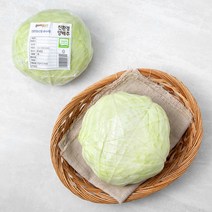 곰곰 친환경 양배추, 1개입, 1개