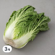 곰곰 국내산 배추, 1통, 3개