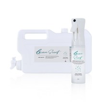 초록향기 살균 소독수 300ml 스프레이 + 4L 리필 세트, 4300ml, 1세트