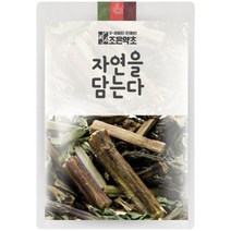 조은약초 박하, 100g, 1개, 1개