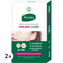 아크네스 퍼펙트 솔루션 스팟 패치, 2개, 120개입