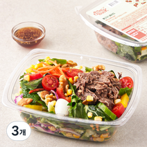 슬림쿡 불고기 샐러드, 255g, 3개