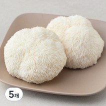 친환경 인증 국내산 노루궁뎅이 버섯, 150g, 5개