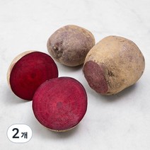 친환경 인증 제주도 비트, 1kg, 2개