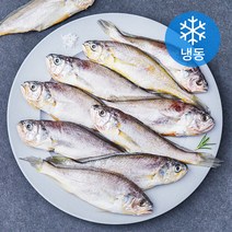 제주어멍 굴비 (냉동), 700g(10미), 1개