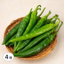 국내산 오이고추, 400g, 4개
