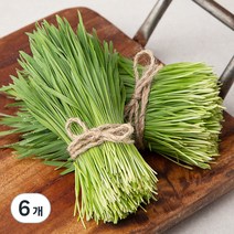 국내산 친환경 밀순, 150g, 6개