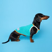 플로트 콤비 강아지 나시, 민트