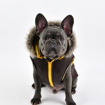 퍼피아 포켓 배색 하네스 점퍼 패딩, 브라운