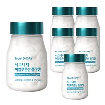 뉴트리디데이 시그니처 히알루론산 콜라겐, 5개, 45g