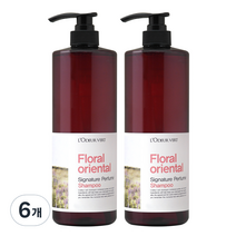 로더베르 시그니처 퍼퓸 샴푸 플로럴오리엔탈 1000ml, 6개