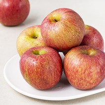 곰곰 당도선별 안동 사과, 1kg, 1봉