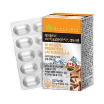 메이플트리 100억 프로바이오틱스 생유산균, 30g, 1개