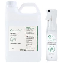 초록향기 피톤치드 스프레이 300ml + 리필 2L 세트, 1세트