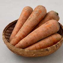 곰곰 흙당근 (산지 : 강원도), 1.5kg, 1봉