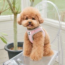 베니즈 베이직 하네스, 라이트핑크