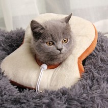 유앤미 반려견 목쿠션 넥카라 FYQ005 식빵 L, 1개