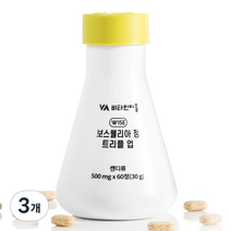 비타민마을 보스웰리아 정 트리플 업, 3개, 500mg