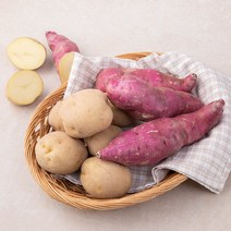 국내산 감자&고구마, 1.6kg, 1개