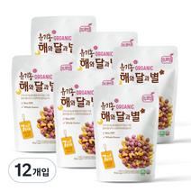 프로엠 유기농 해와달과별 스낵 30g, 현미, 12개입